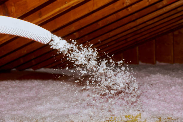 Best Blown-in Insulation in Weatherby Lake, MO