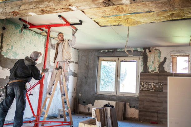 Best Residential Insulation in Weatherby Lake, MO