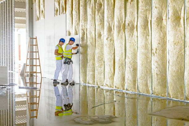 Professional Insulation Contractor in Weatherby Lake, MO